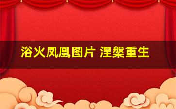 浴火凤凰图片 涅槃重生